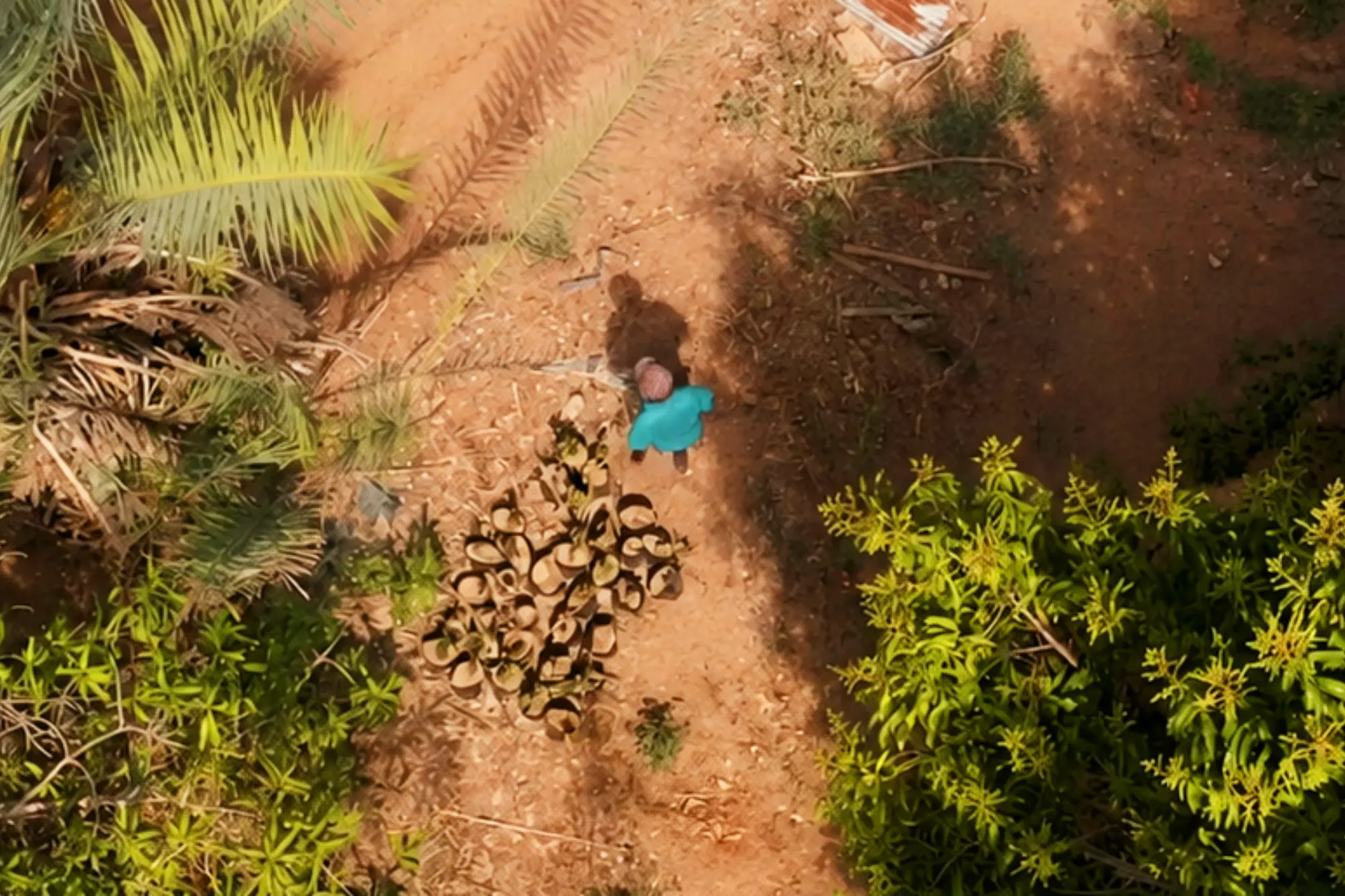 Khach Bach | Pionnier de l’agriculture à Assamo